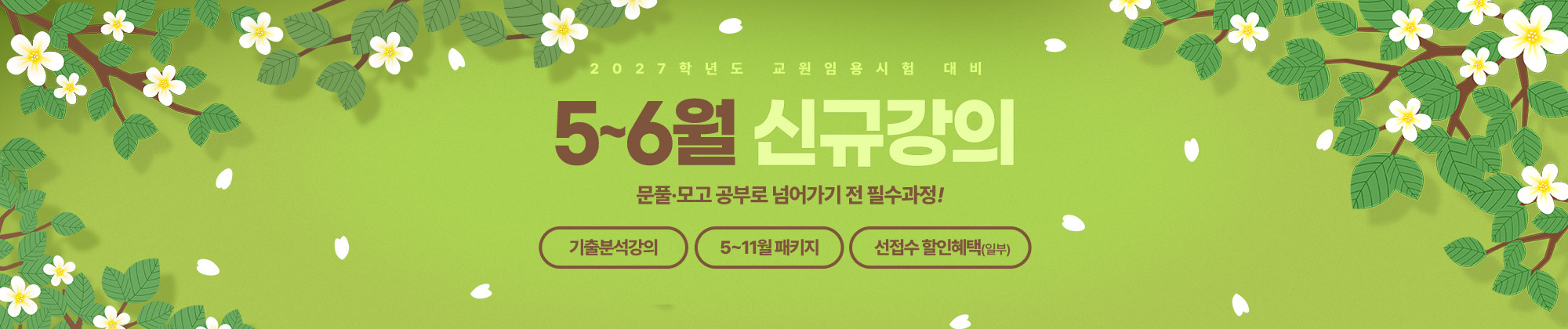 2026 5~6월 신규강의